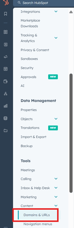 domains and url settings